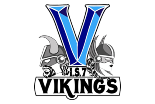 vikings